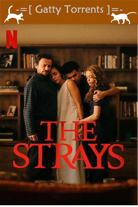 Download Strays.2023.1080p.WEBRip.x264.Dual.YG⭐ Torrent.